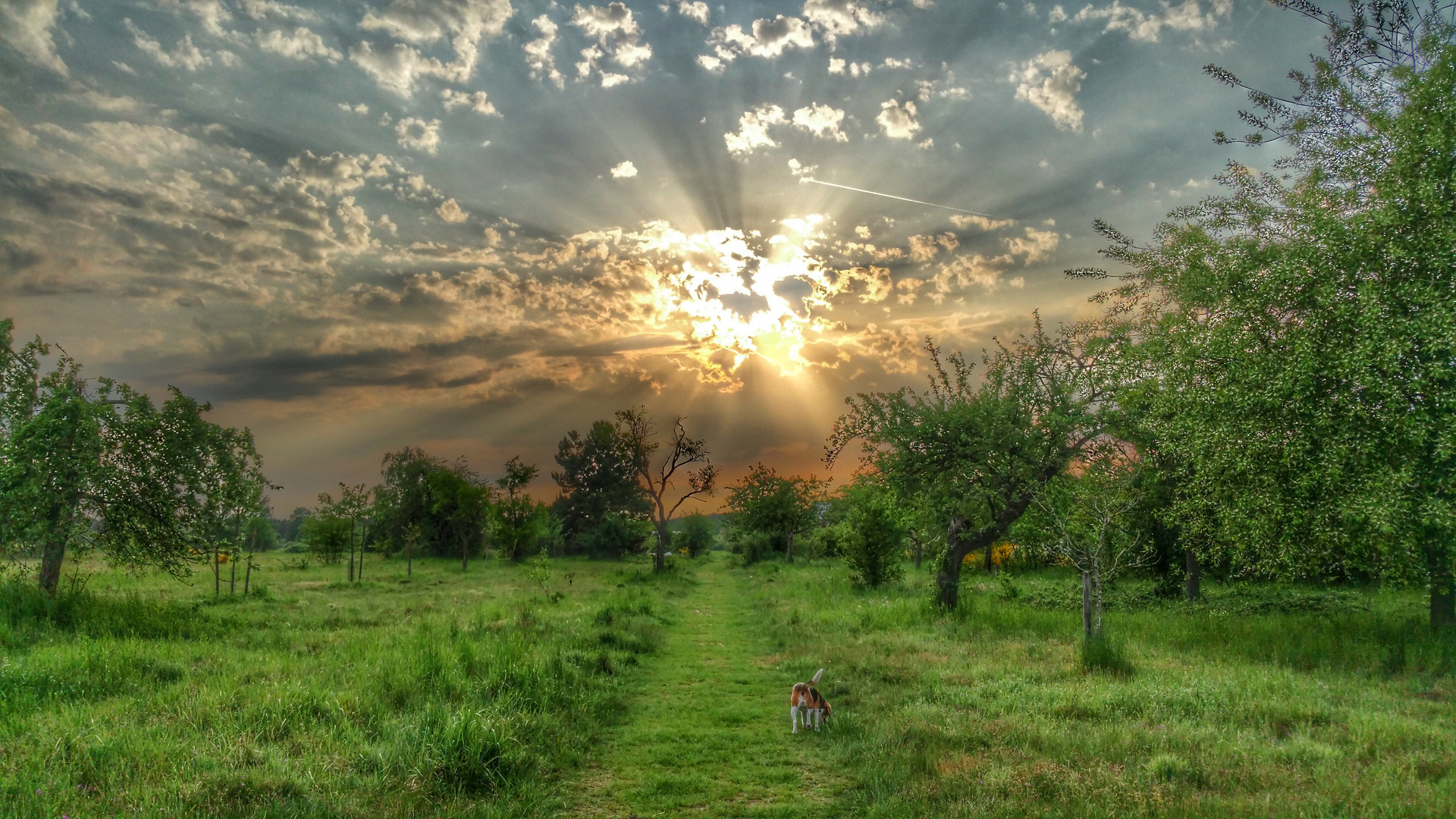 Sun and Clouds