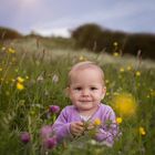 Sun and Flowers