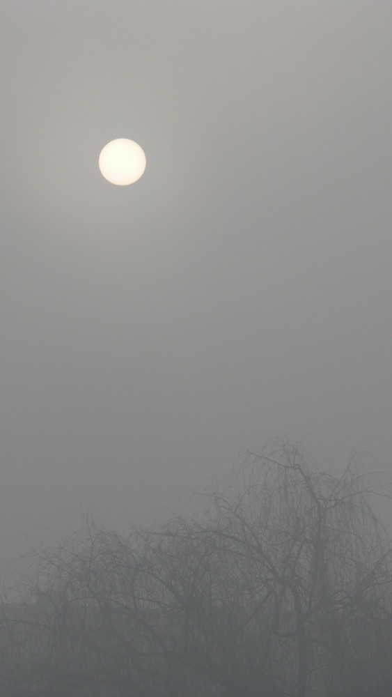 sun and fog