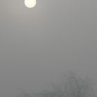 sun and fog