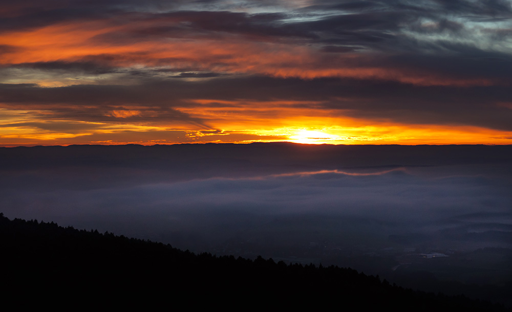 sun and fog over aldingen