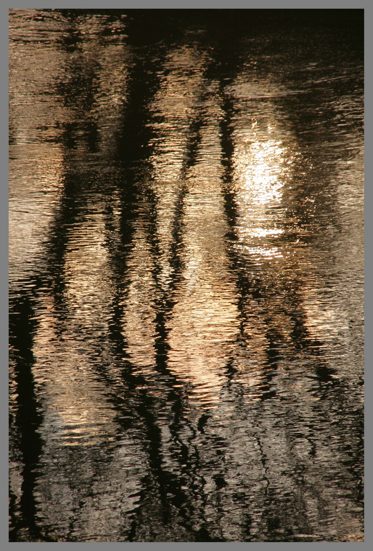 sun and trees reflected in the pool at lealholm North Yorkshire