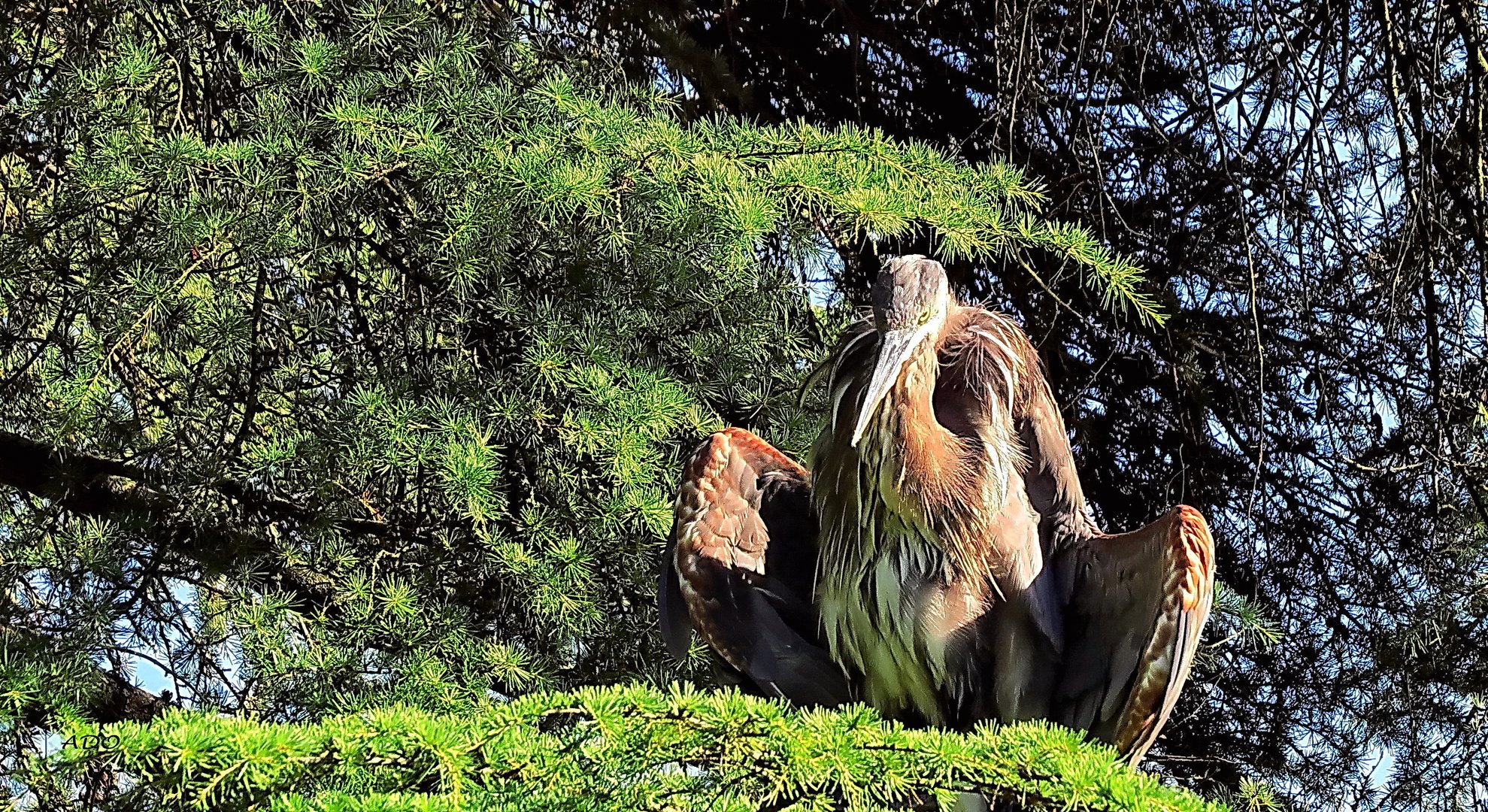 Sun-Bathing