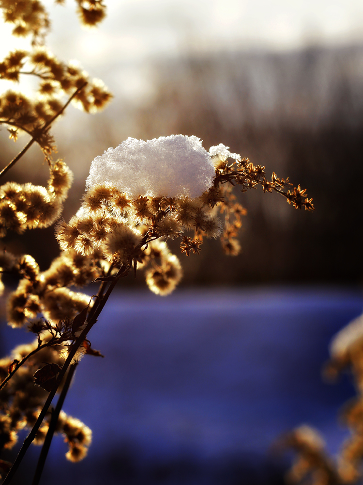 sun-catcher