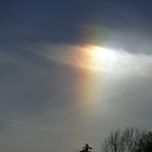 Sun Dog