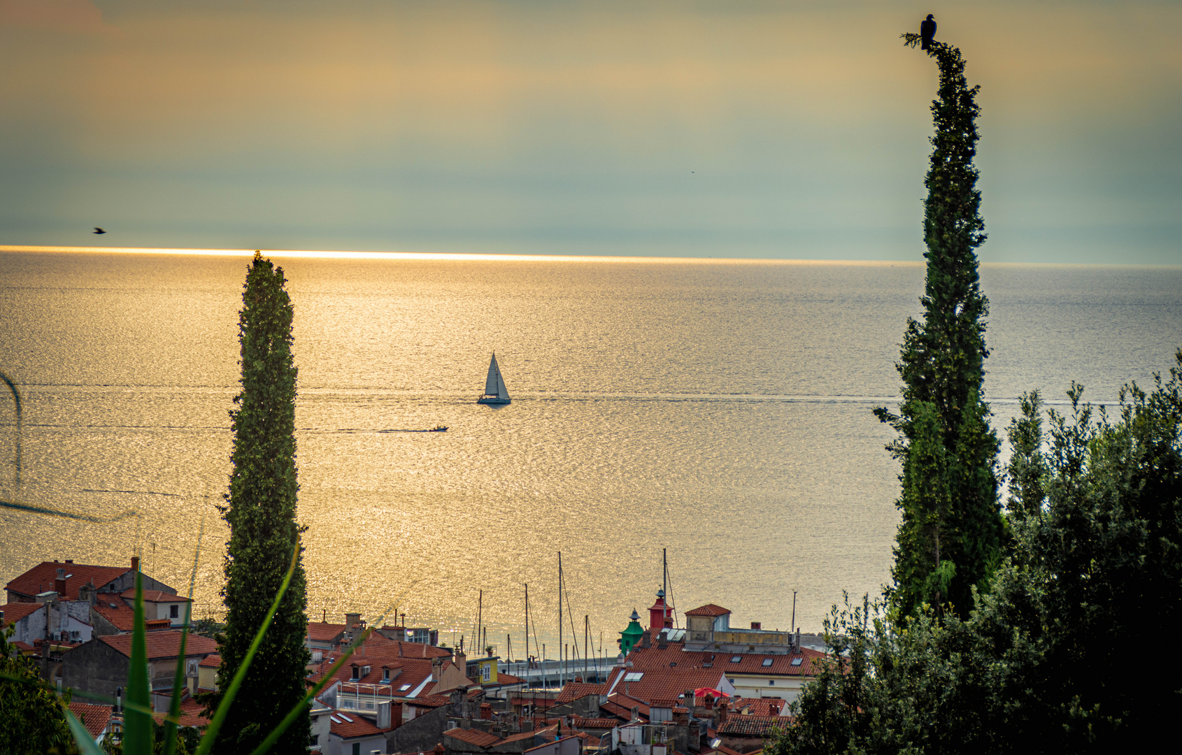 Sun Down - Piran