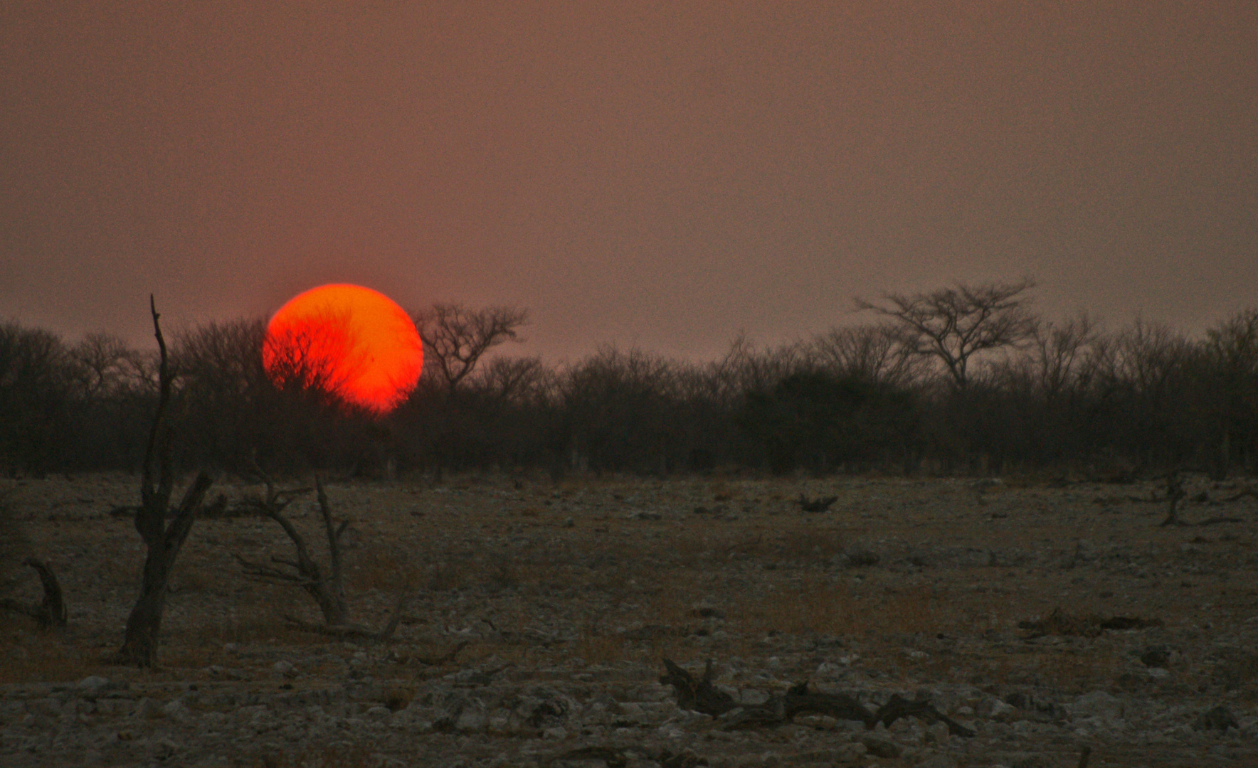 Sun-downer an der Etosha-Pfanne