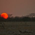 Sun-downer an der Etosha-Pfanne