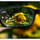 Sun flower -- thru my glasses