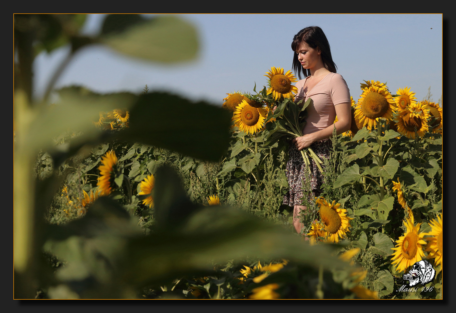 sun flowers (2)