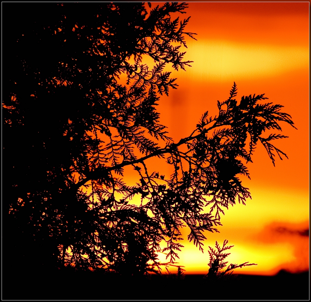 Sun goes down Foto & Bild sonnenuntergänge, himmel & universum, sonne