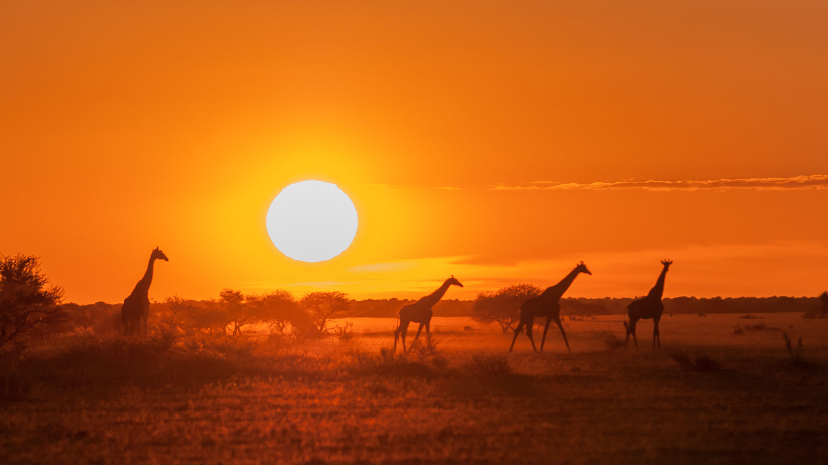 Sun goes down over Nxai Pan - Kalahari - Botswana 2011