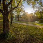 Sun in the parc