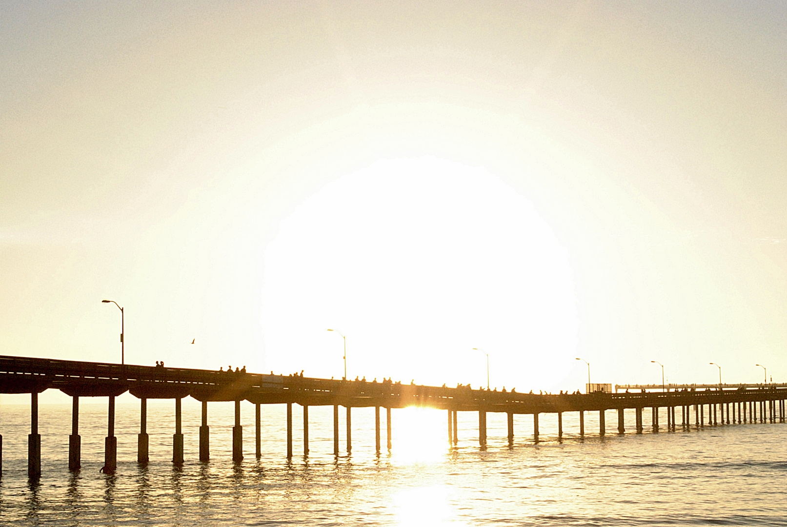 sun is kissing the Pacific ocean