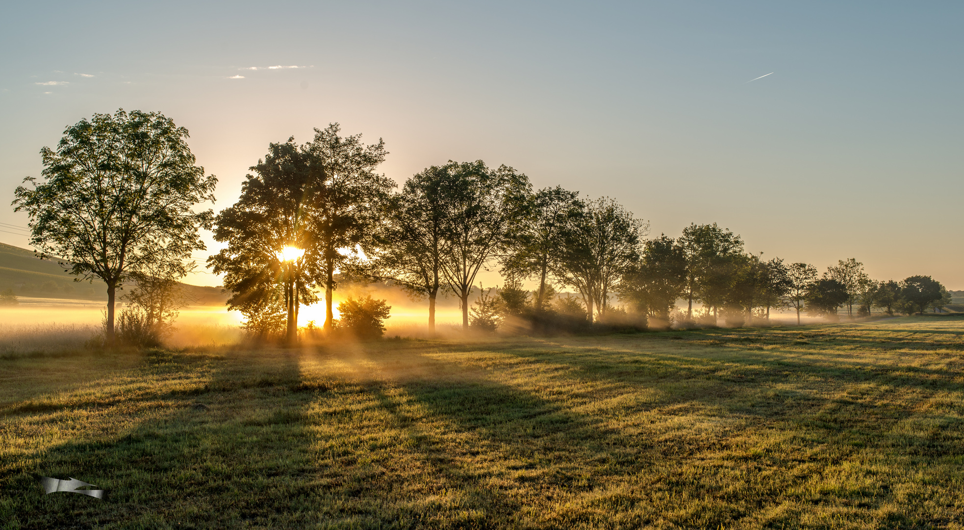 Sun is rising every day...