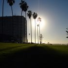 sun of san diego