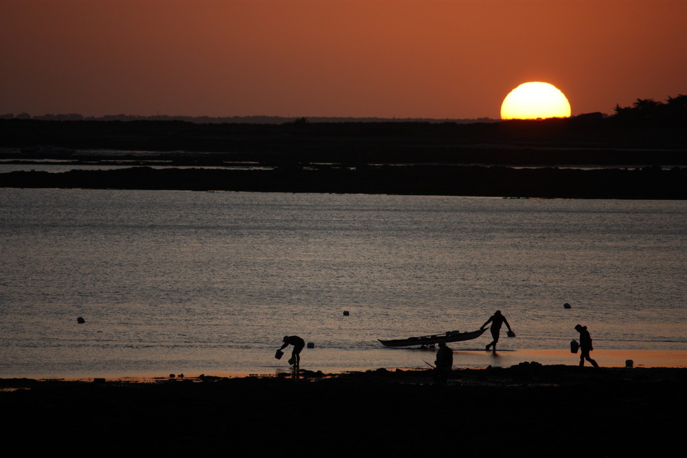 Sun on the Beach