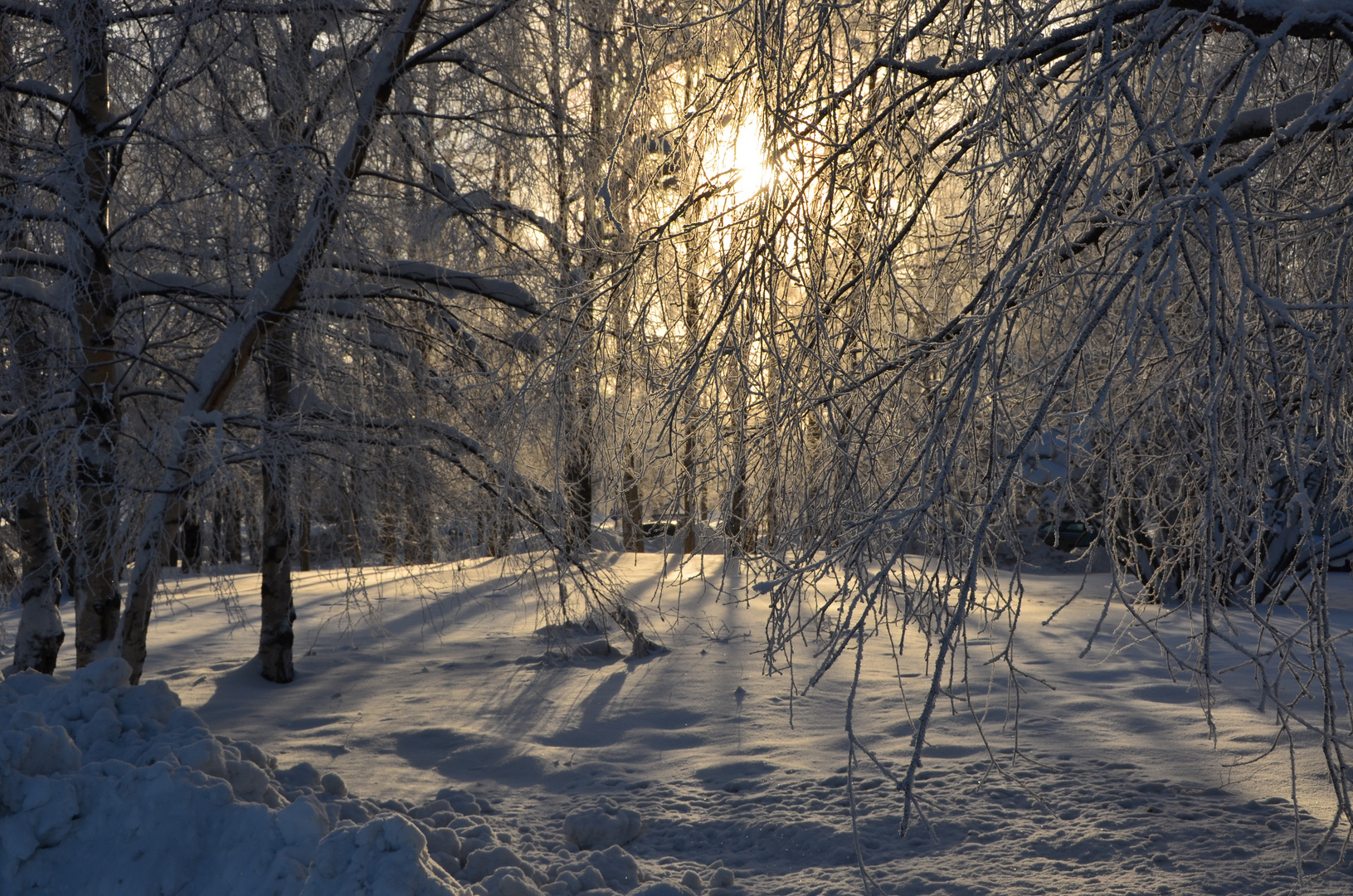 sun over Lapland