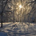 sun over Lapland