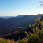 Sun over the Blue Mountains