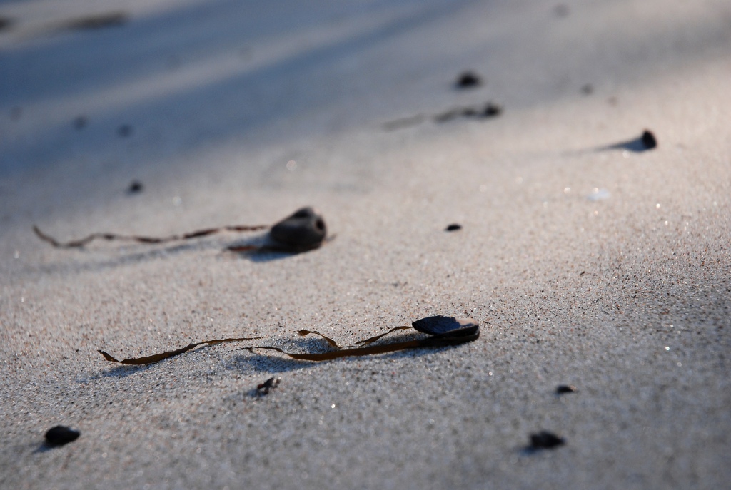 sun, sand & stones