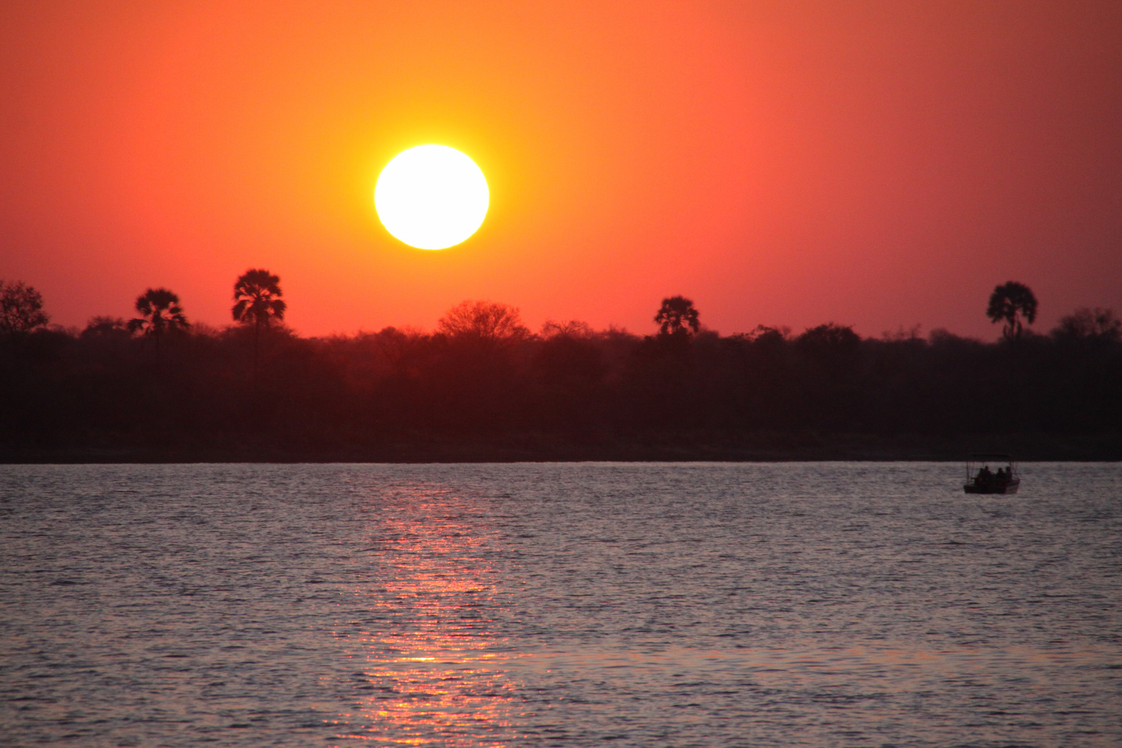 Sun-set am Sambesi