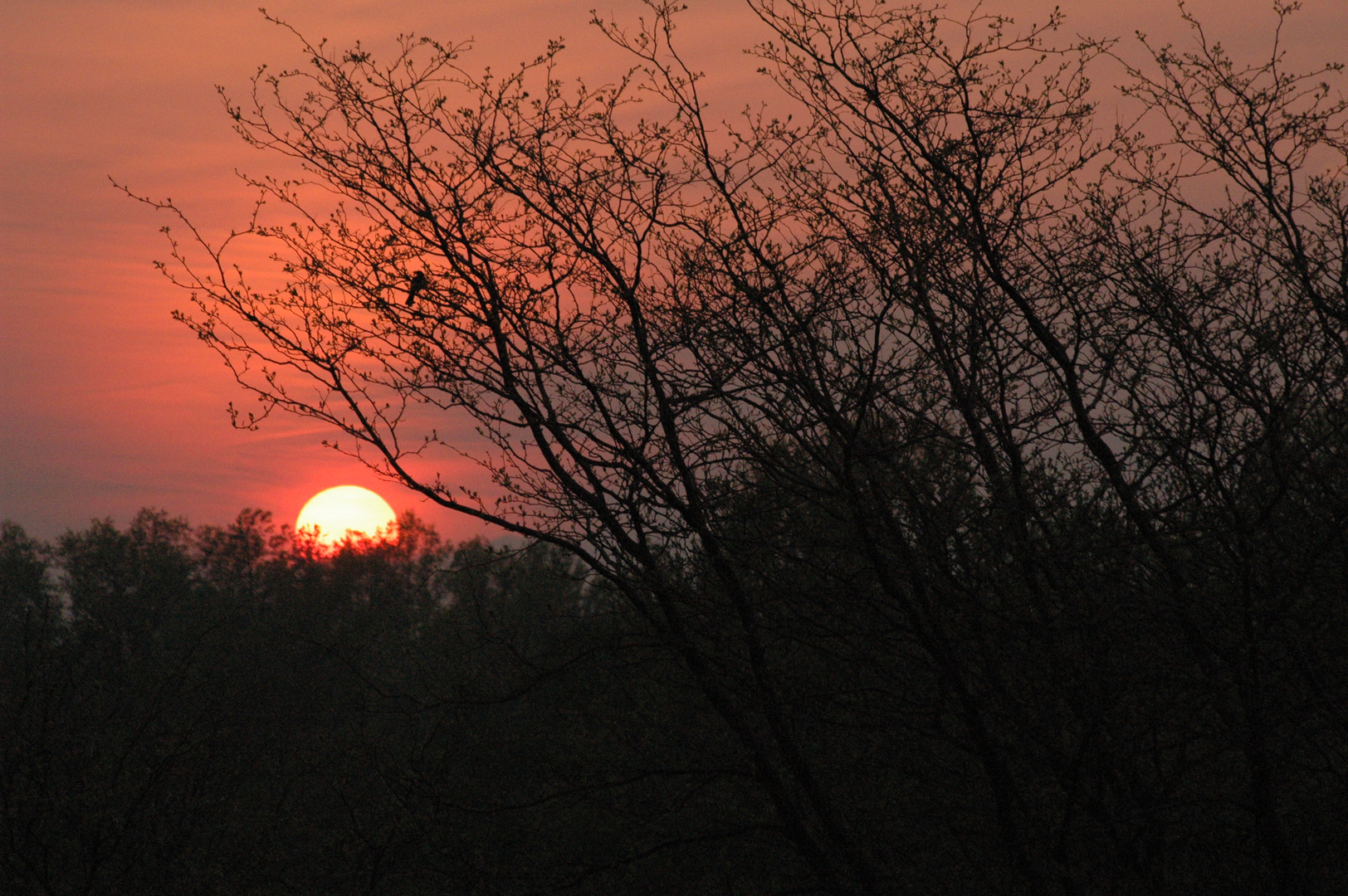 Sun set Westlake, Ohio May 2011