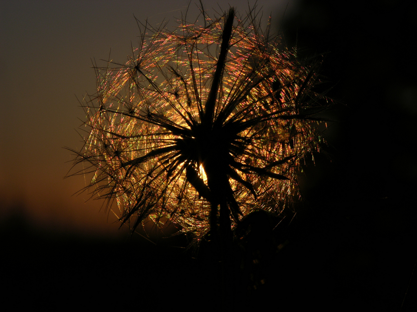 ...sun set wheel...