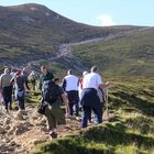 Sun shines for Reek Sunday pilgrims