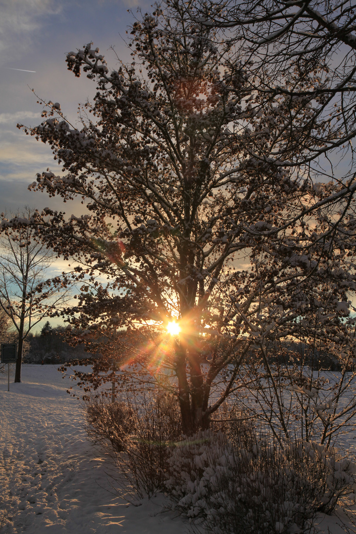 Sun & Snow