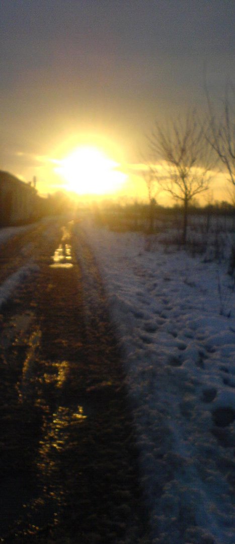 sun & snow