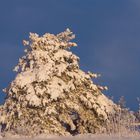 sun, snow and blue sky....