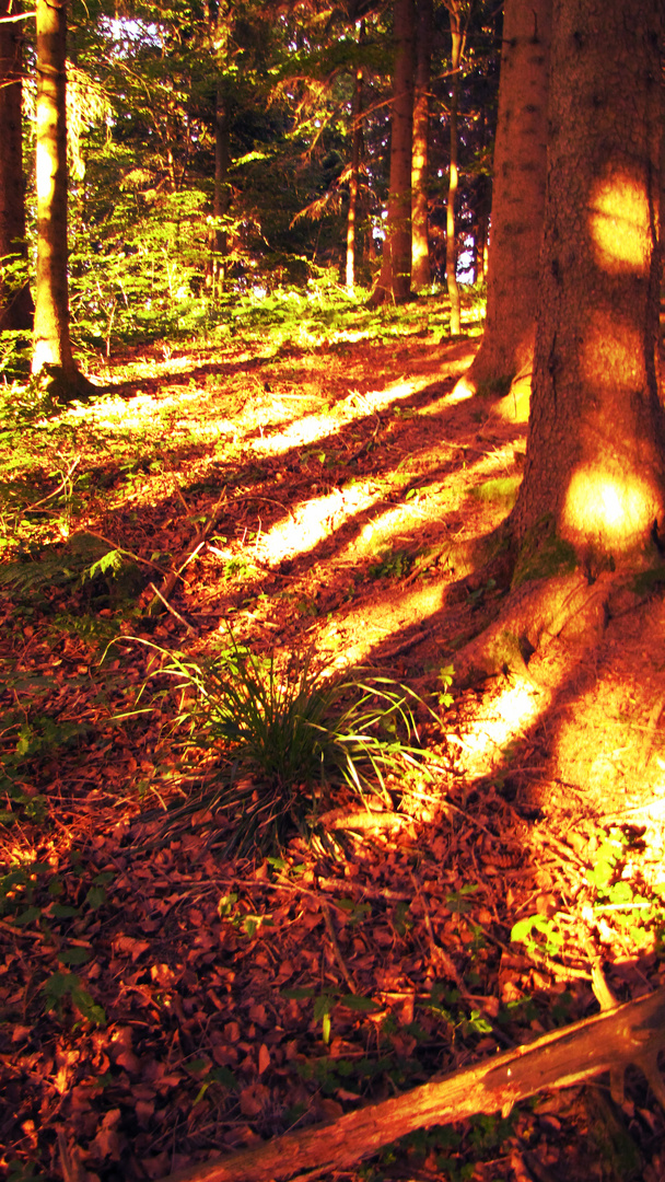 sun stairs