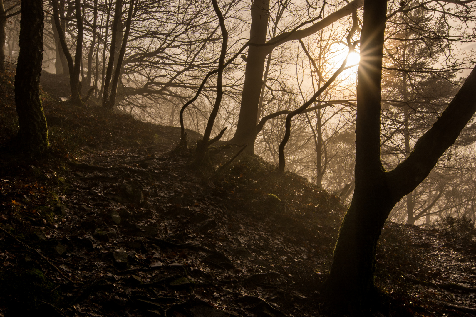 Sun vs. Fog