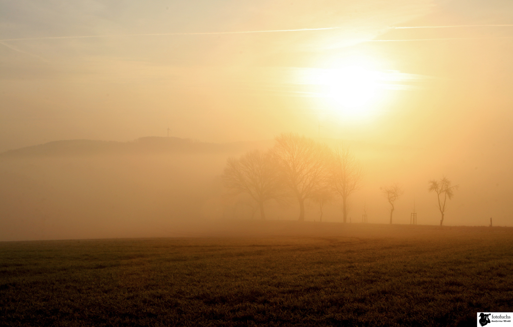 Sun with fog...