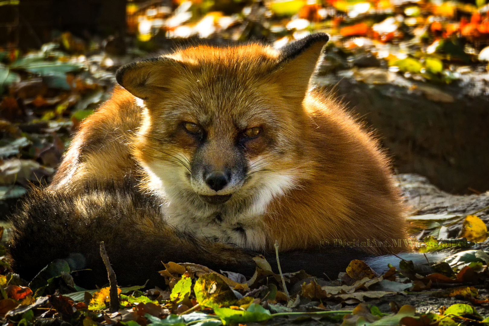 sunbath