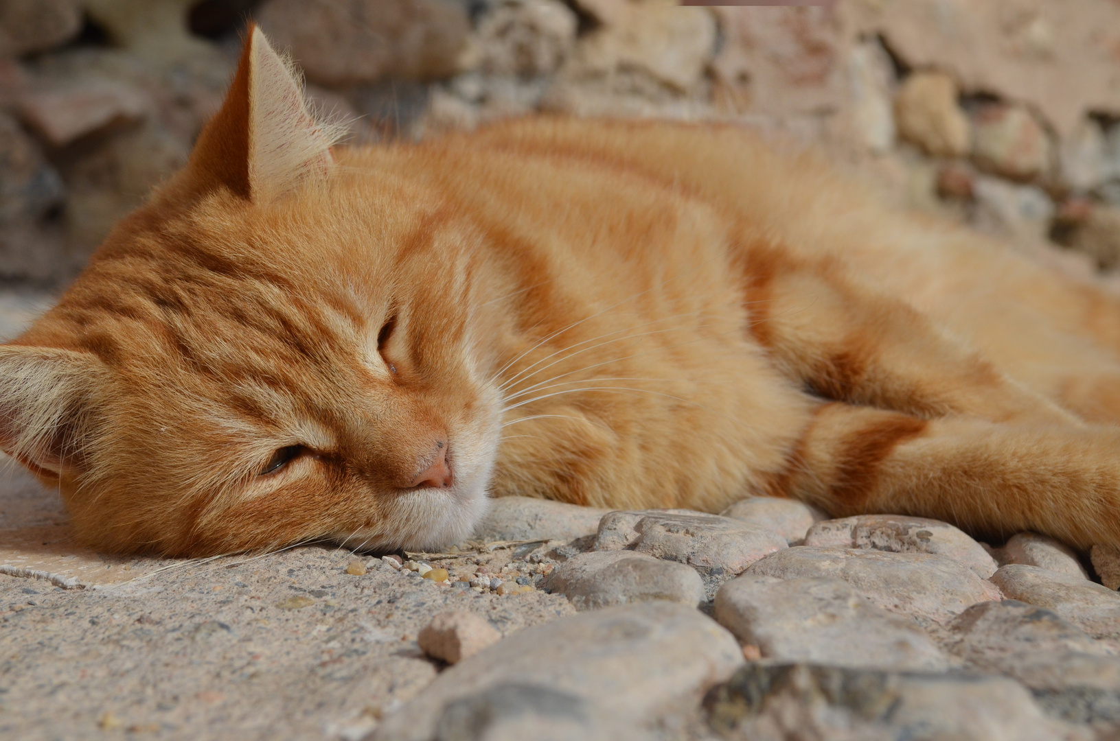 Sunbath