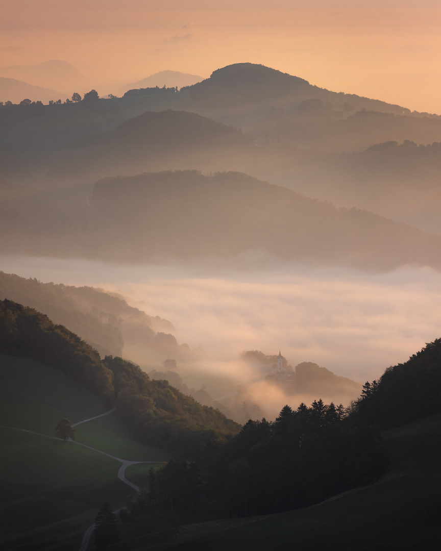 Sunbathe in the fog