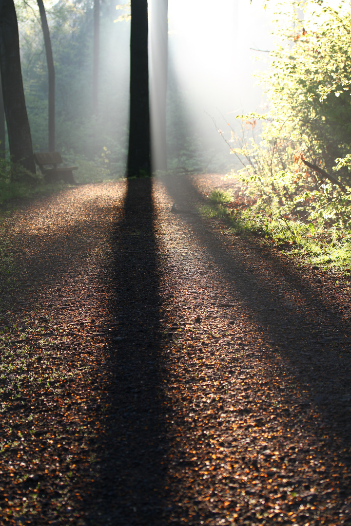 Sunbeam