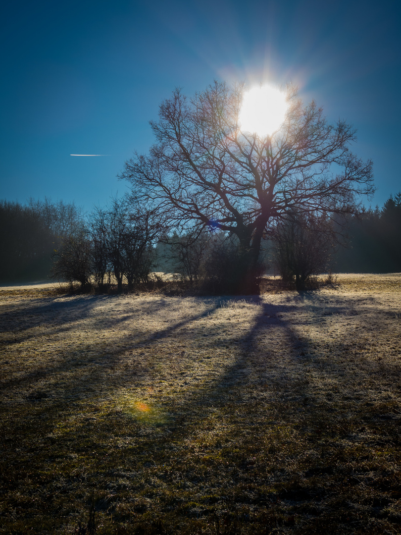 Sunbeams