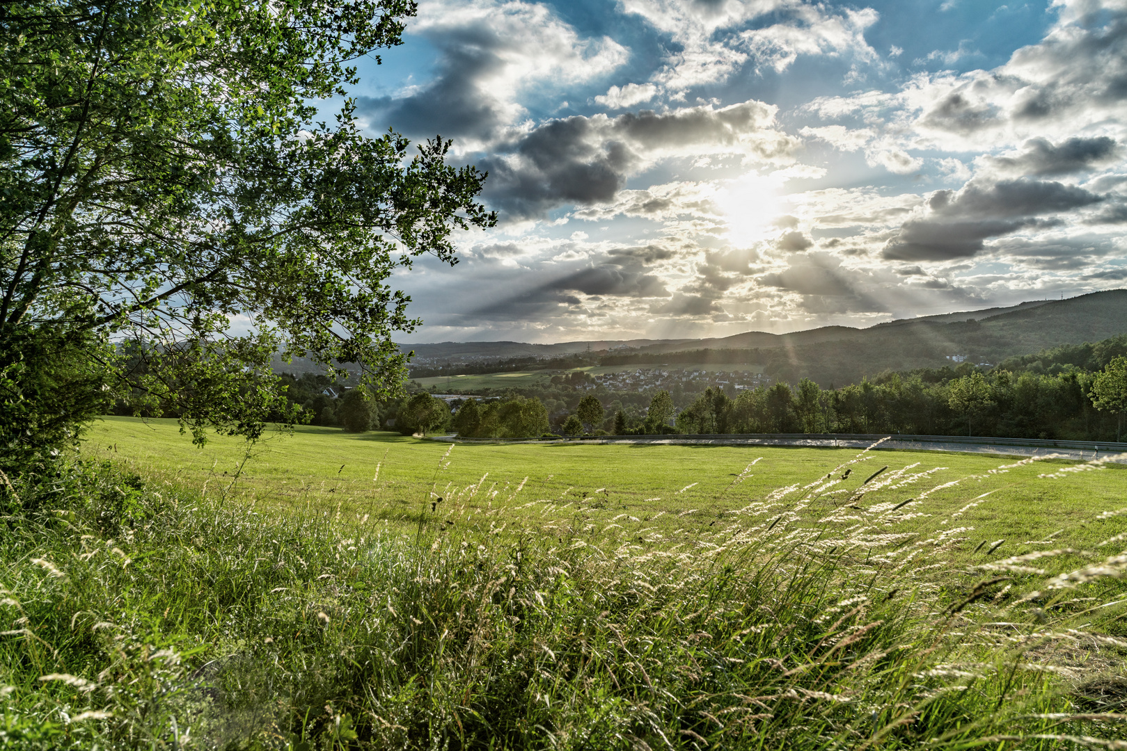 Sunbeams