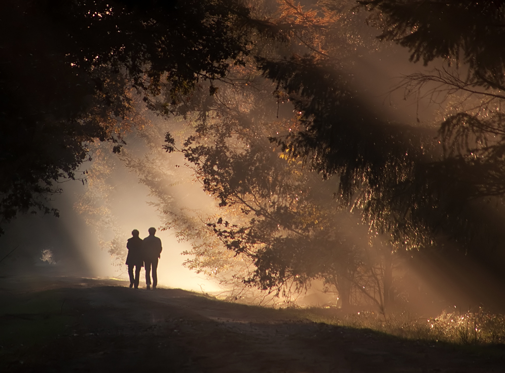 Sunbeams