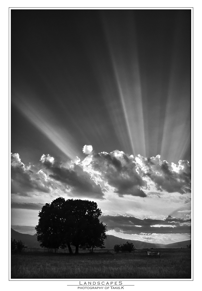 sunbeams in b/w