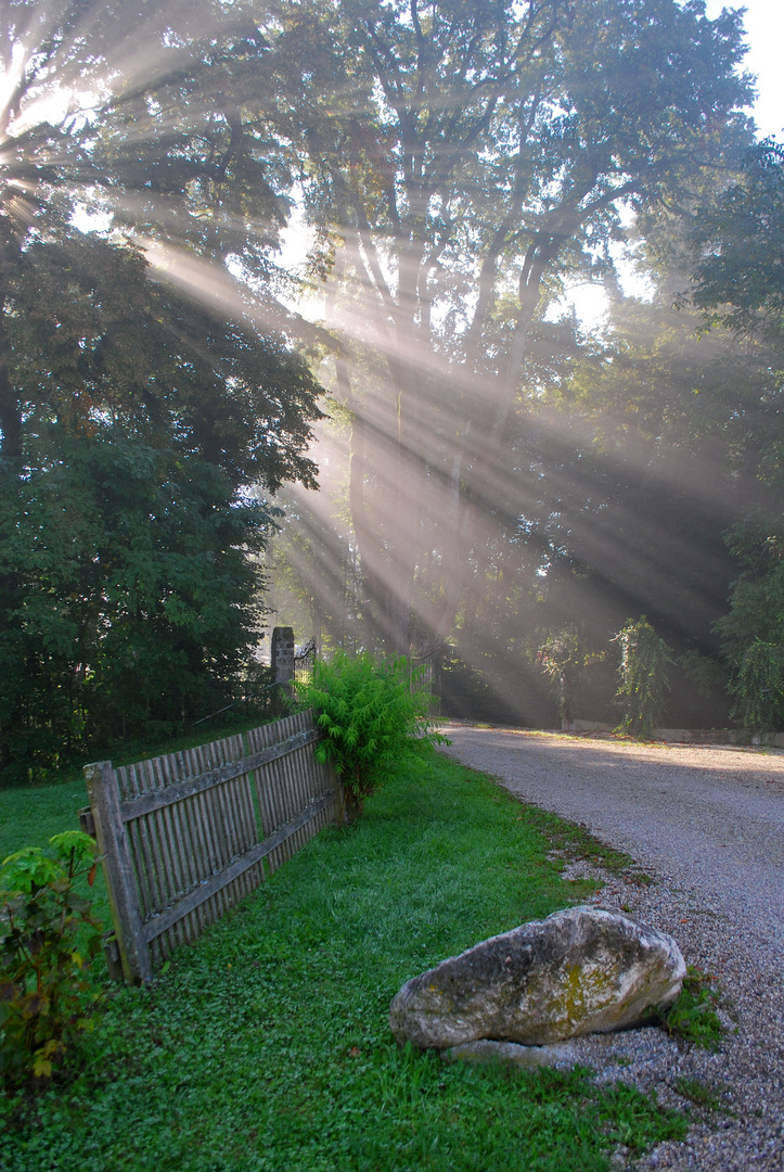 Sunbeams in the early Morning