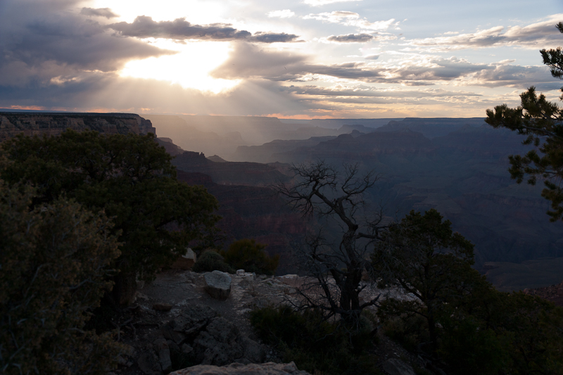 Sunbeams on the Canyon