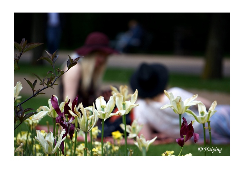 Sunday afternoon at Regent's Park