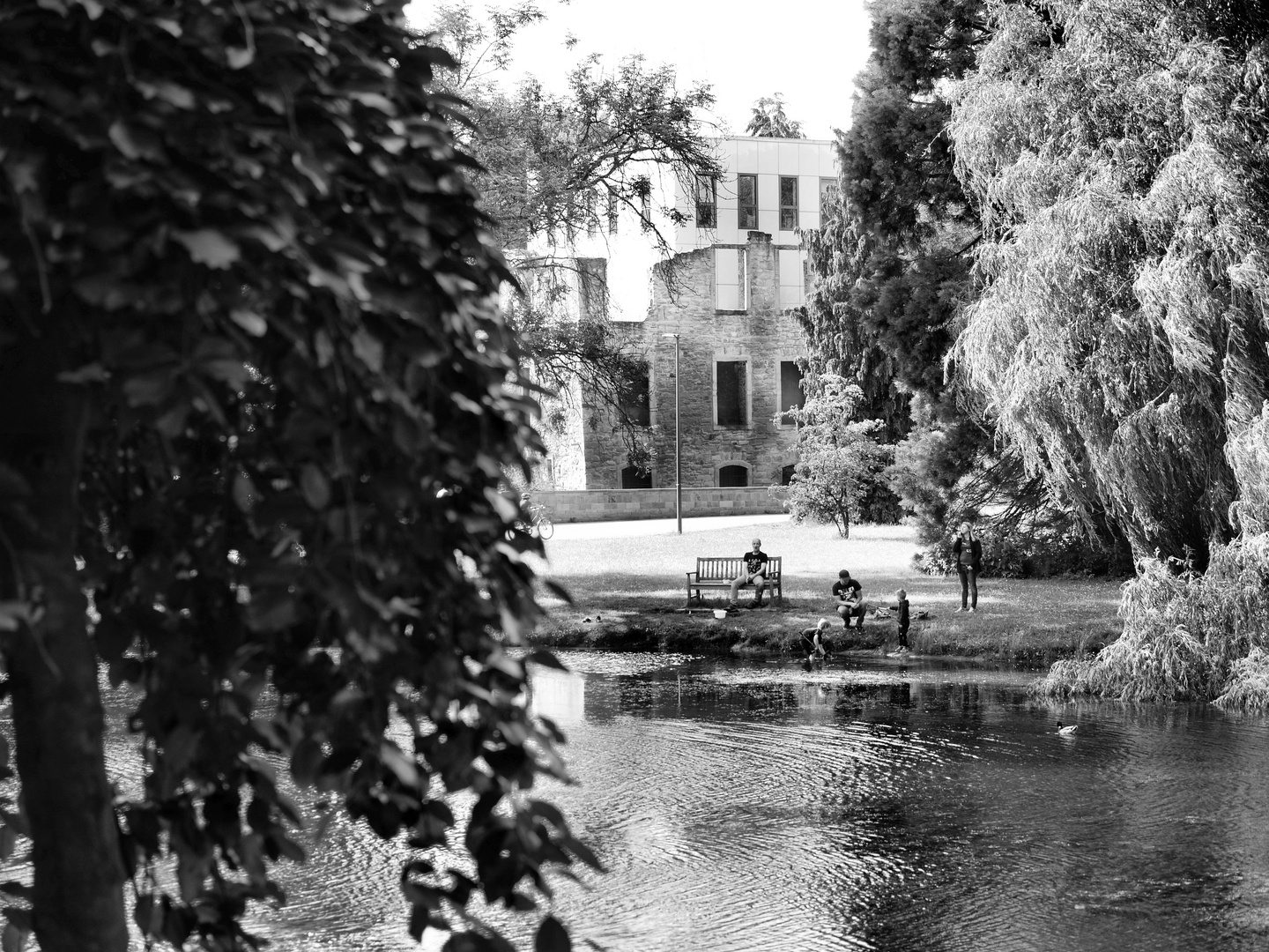 Sunday Afternoon At The Manor´s Duck Pond