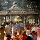 Sunday afternoon in Lalbagh