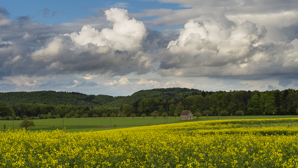 Sunday at Baselland