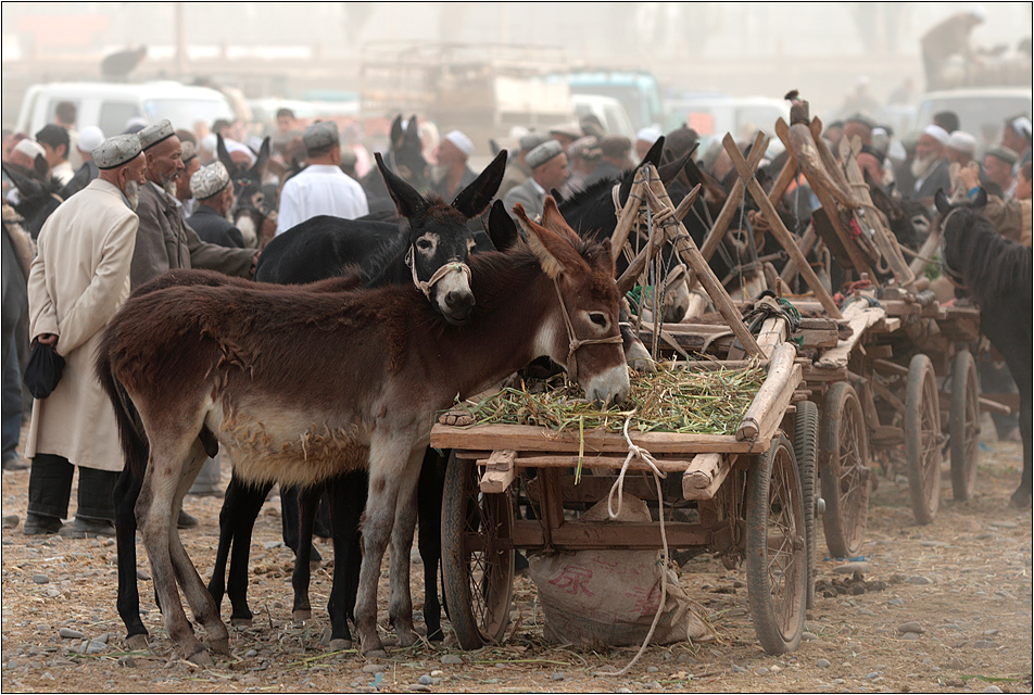 sunday - market